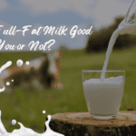 Is Full-Fat Milk Good for You or Not